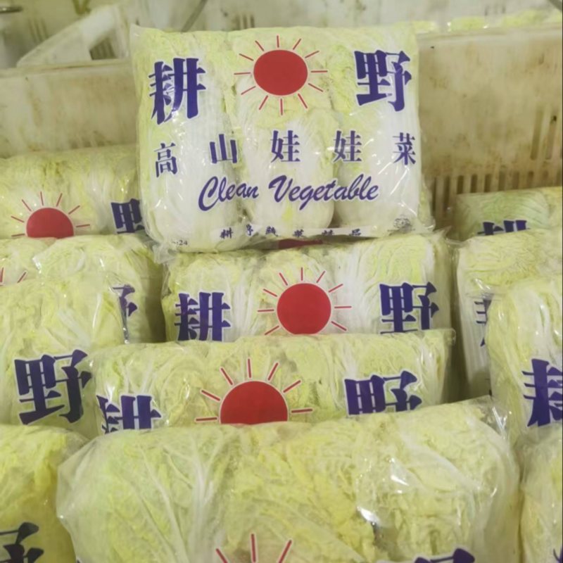 云南精品娃娃菜