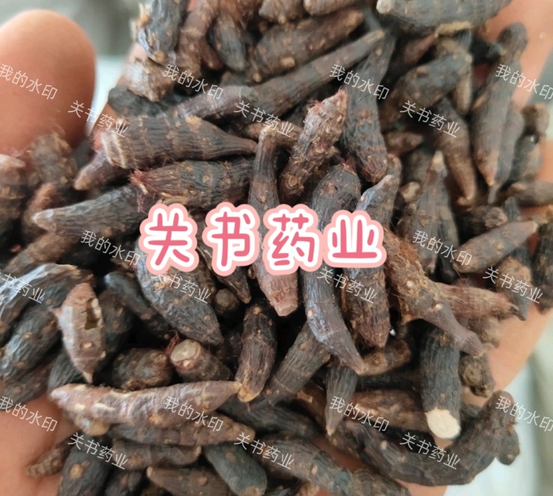 香附，生香附片，选关书药业，1000克起批……