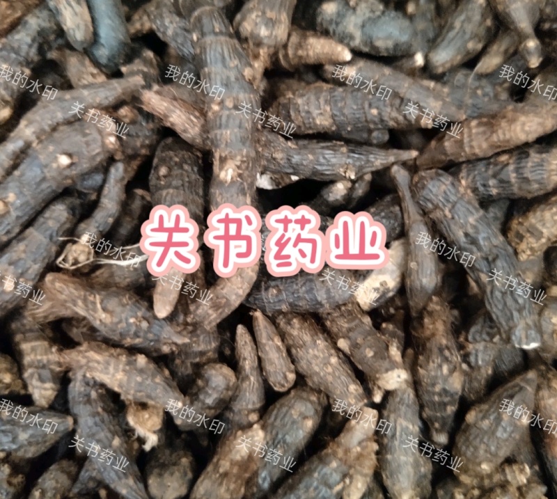 香附，生香附片，选关书药业，1000克起批……