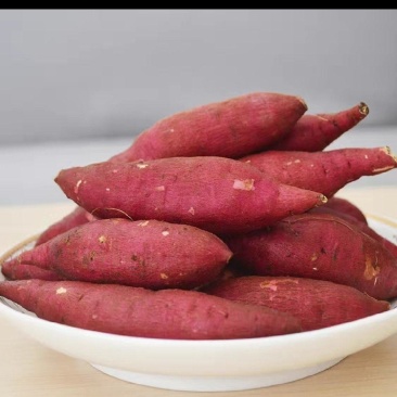 山东烟台海阳济薯26板栗薯一件代发团购落地配