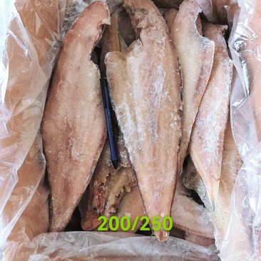 比目鱼鳎目鱼三去鳎目鱼