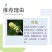 桂花树苗四季桂盆栽可食用开花室内阳台庭院浓香
