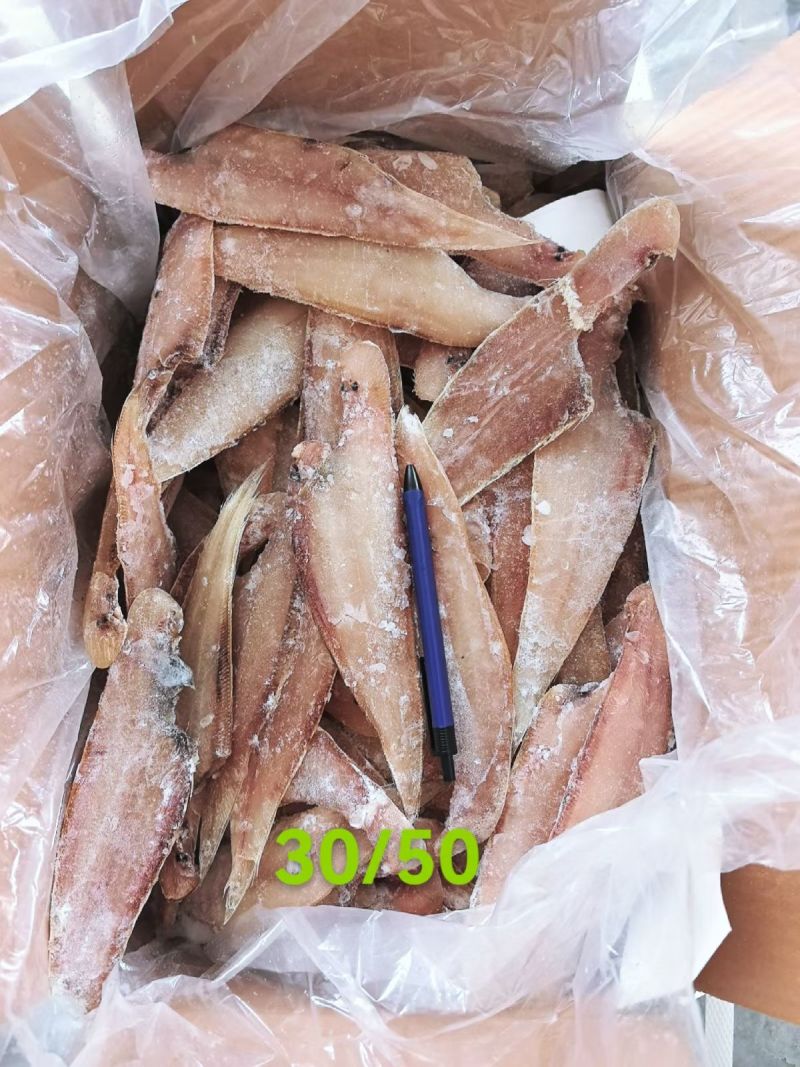 比目鱼