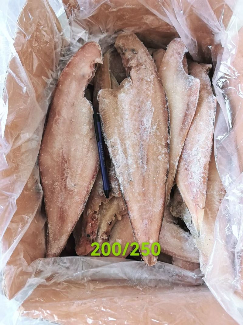 比目鱼