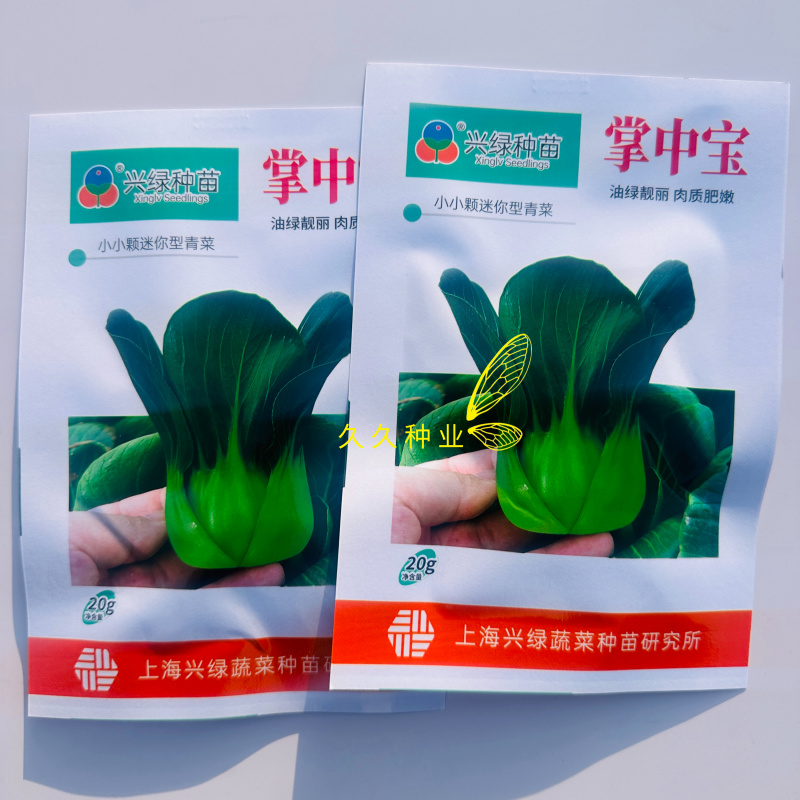 掌中宝小青仔种子超矮脚青菜种子耐寒黑叶精品矮箕青菜