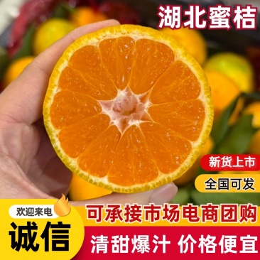 蜜橘供应电商团购,渠道,商超,快递一件代发