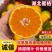 蜜橘供应电商团购,渠道,商超,快递一件代发