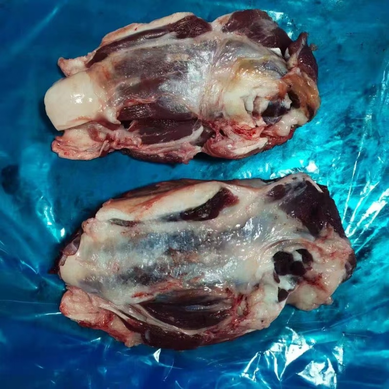 牛腱山东精品牛腱子肉，大量上市，厂家销售，量大从优