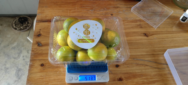 脆蜜金柑