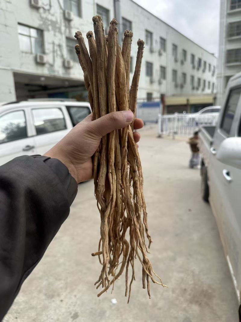高产量，优质党参已上线。