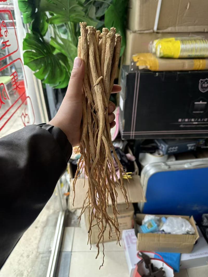 高产量，优质党参已上线。