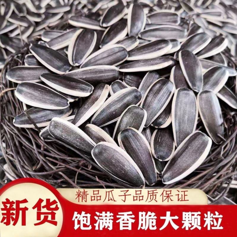 内蒙特产葵瓜子炒货店专用361大颗粒生瓜子363