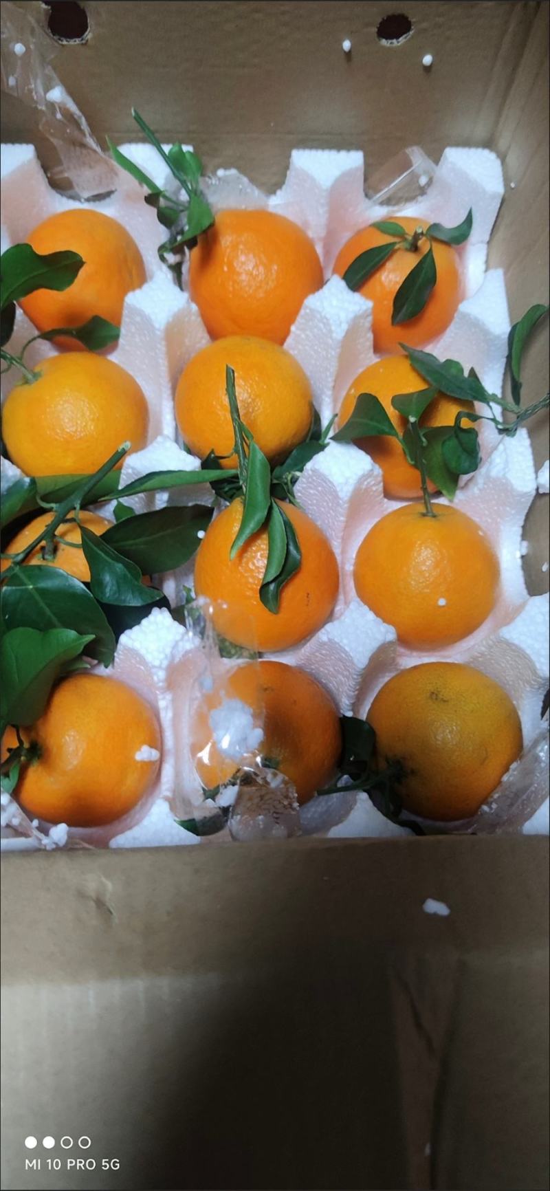 正宗爱媛38号果冻橙当季新鲜孕妇水果手剥橙子超甜薄皮整箱