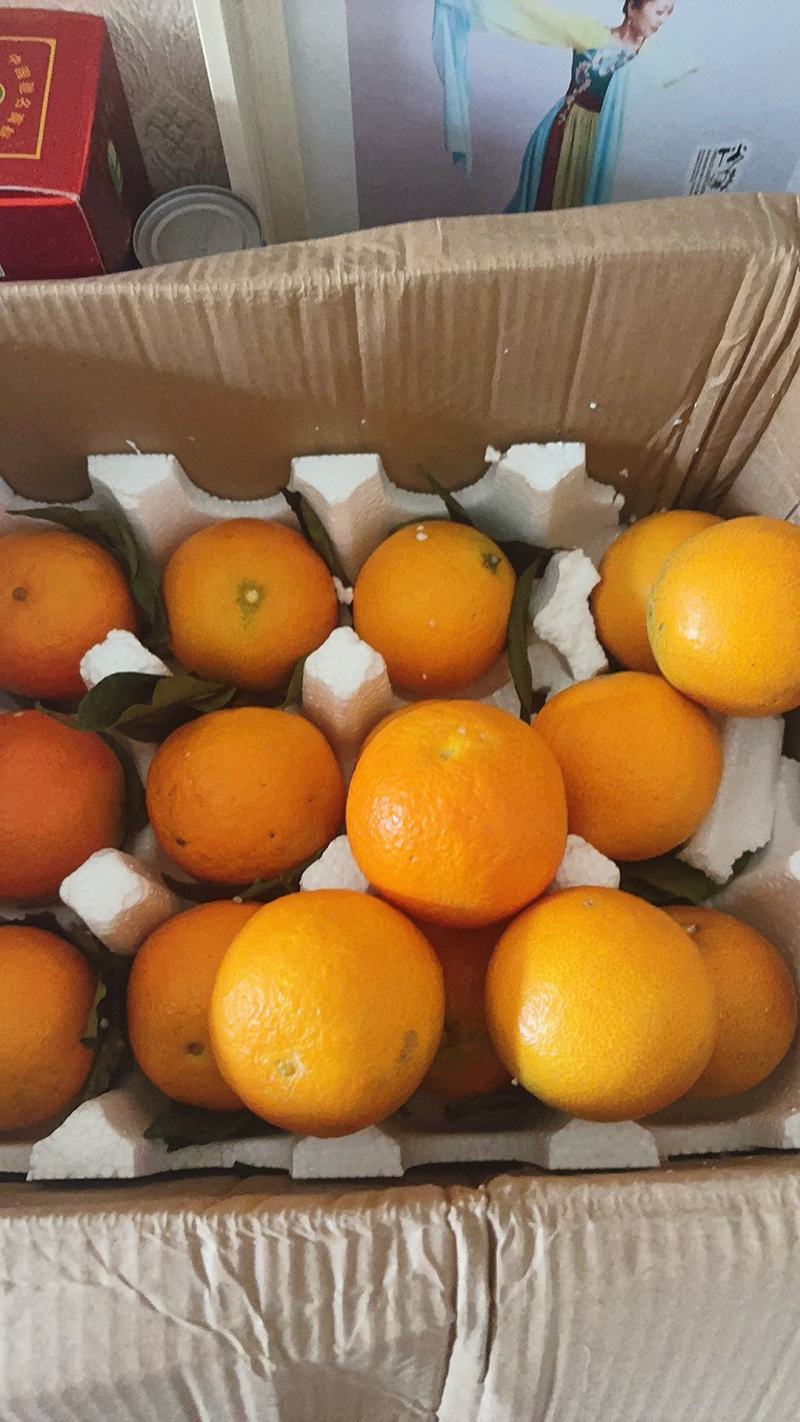 正宗爱媛38号果冻橙当季新鲜孕妇水果手剥橙子超甜薄皮整箱