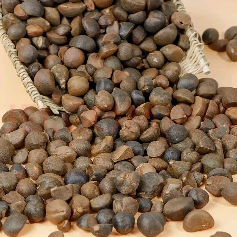 长期批发纯野生山茶油籽农家榨油厂直供，再说一遍仅供批发