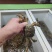 《热卖》江苏阳澄湖大闸蟹基地直发售后无忧欢迎下单！