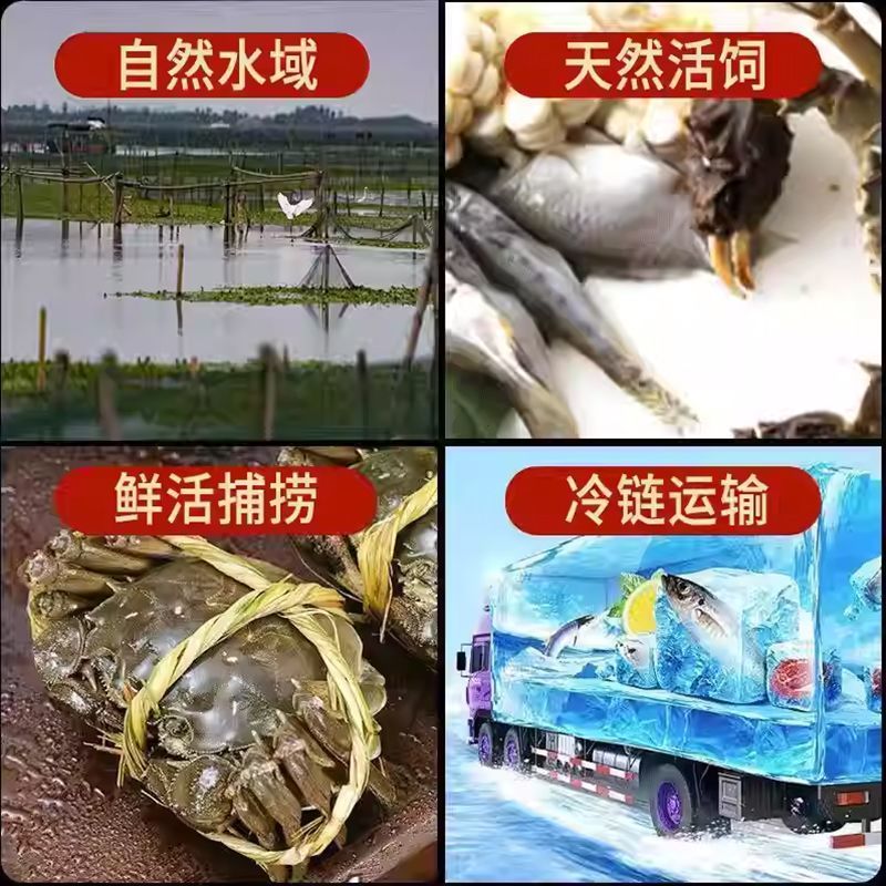 《热卖》江苏阳澄湖大闸蟹基地直发售后无忧欢迎下单！