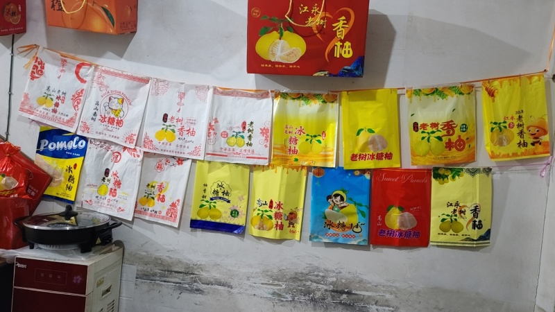 江永张氏沙田柚脆糯甜多汁纯甜无杂味可视频看货
