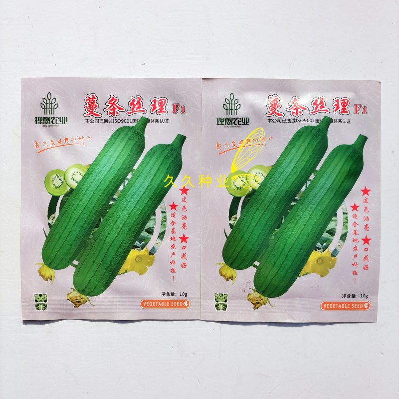 蔓条丝理F1短油皮丝瓜种籽高产抗病春秋耐热盆栽油亮早熟
