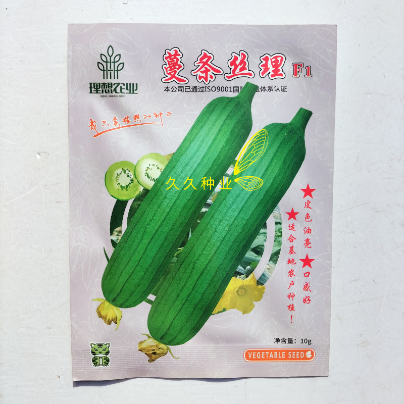 蔓条丝理F1短油皮丝瓜种籽高产抗病春秋耐热盆栽油亮早熟