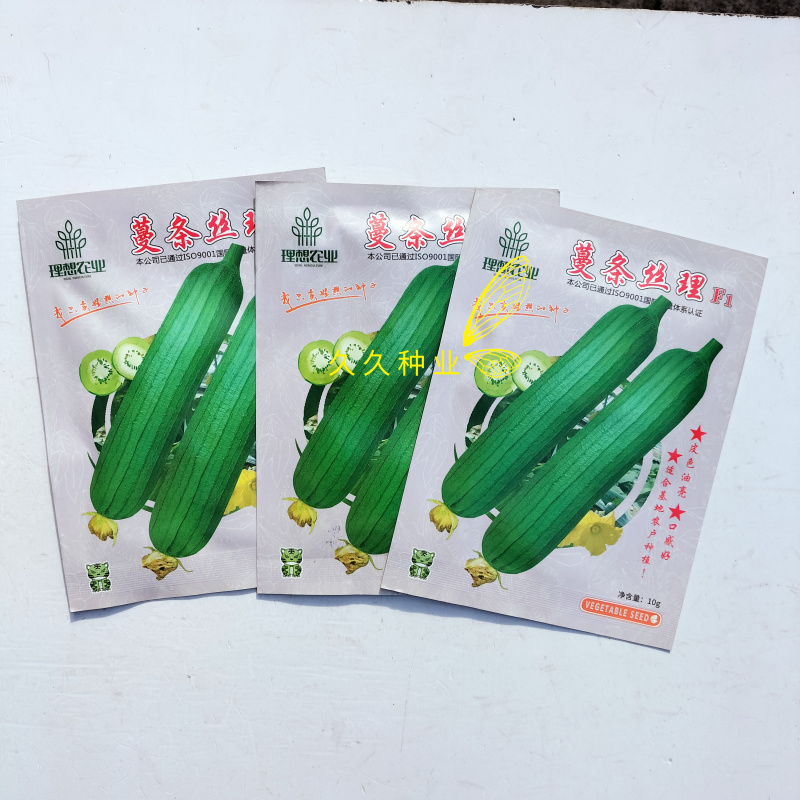 蔓条丝理F1短油皮丝瓜种籽高产抗病春秋耐热盆栽油亮早熟