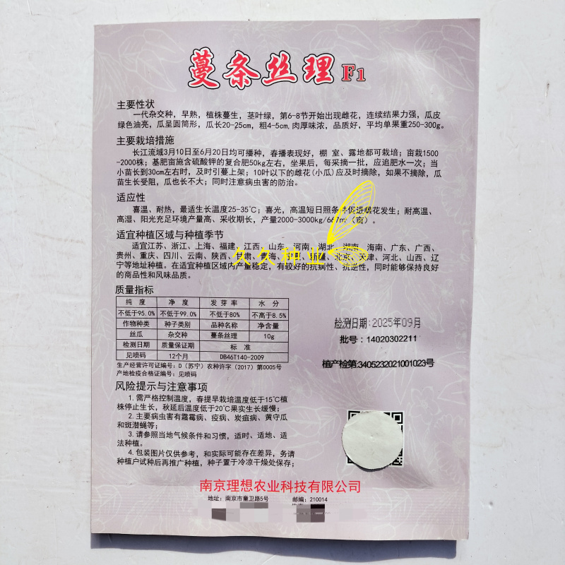 蔓条丝理F1短油皮丝瓜种籽高产抗病春秋耐热盆栽油亮早熟