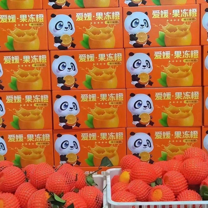 承接爱媛果冻橙一件代发，对接各大直播平台