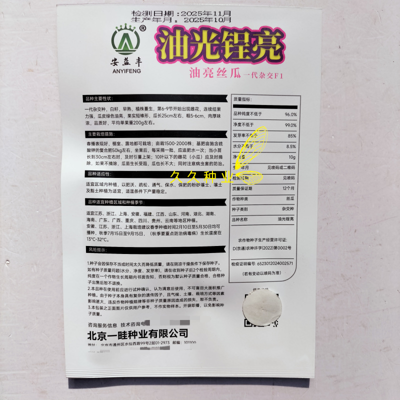 油光锃亮绿丝瓜种子早熟抗油亮丝瓜短棒油皮丝瓜种籽肉厚抗病