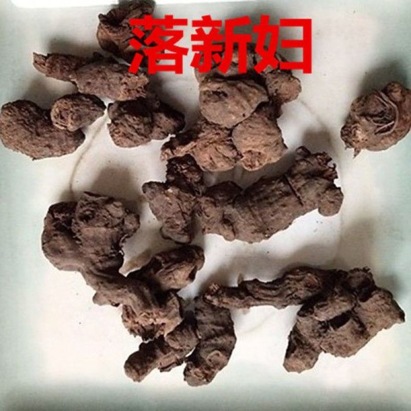 中药材落新妇红升麻虎麻金猫儿马尾参铁火钳