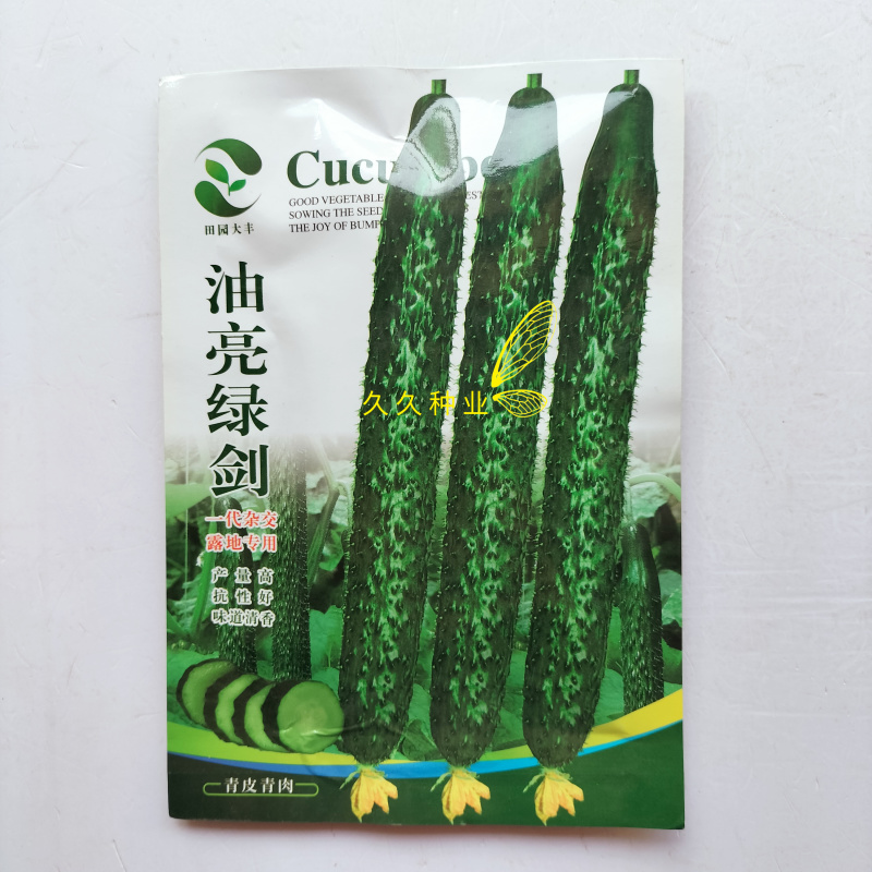 油亮绿剑黄瓜种子绿皮绿肉青黄瓜种籽夏季耐热青瓜种四季蔬菜