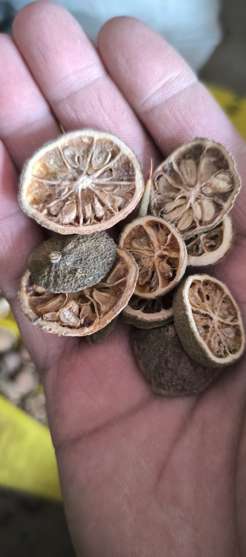 野生枳壳产地直发
