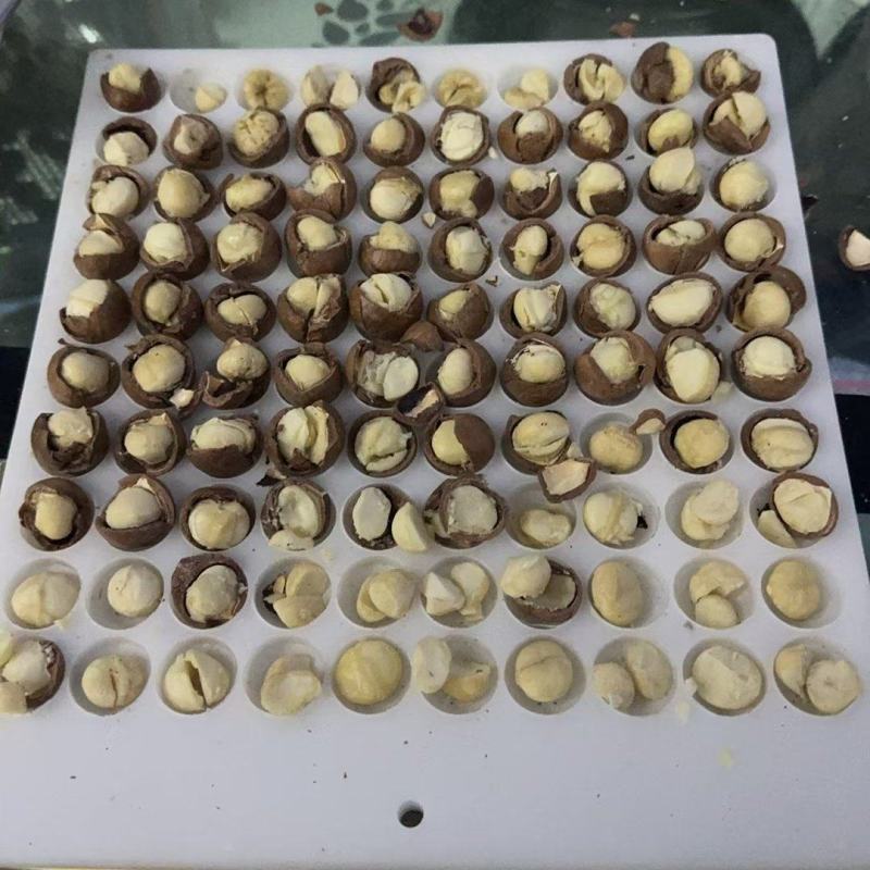 坚果2025年夏威果，商超，电商货大量供应，欢迎来电洽谈