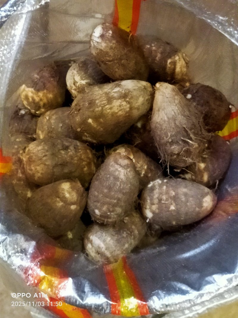 芋头*8520*豆包*产地大量供应*对接市场电商加工厂