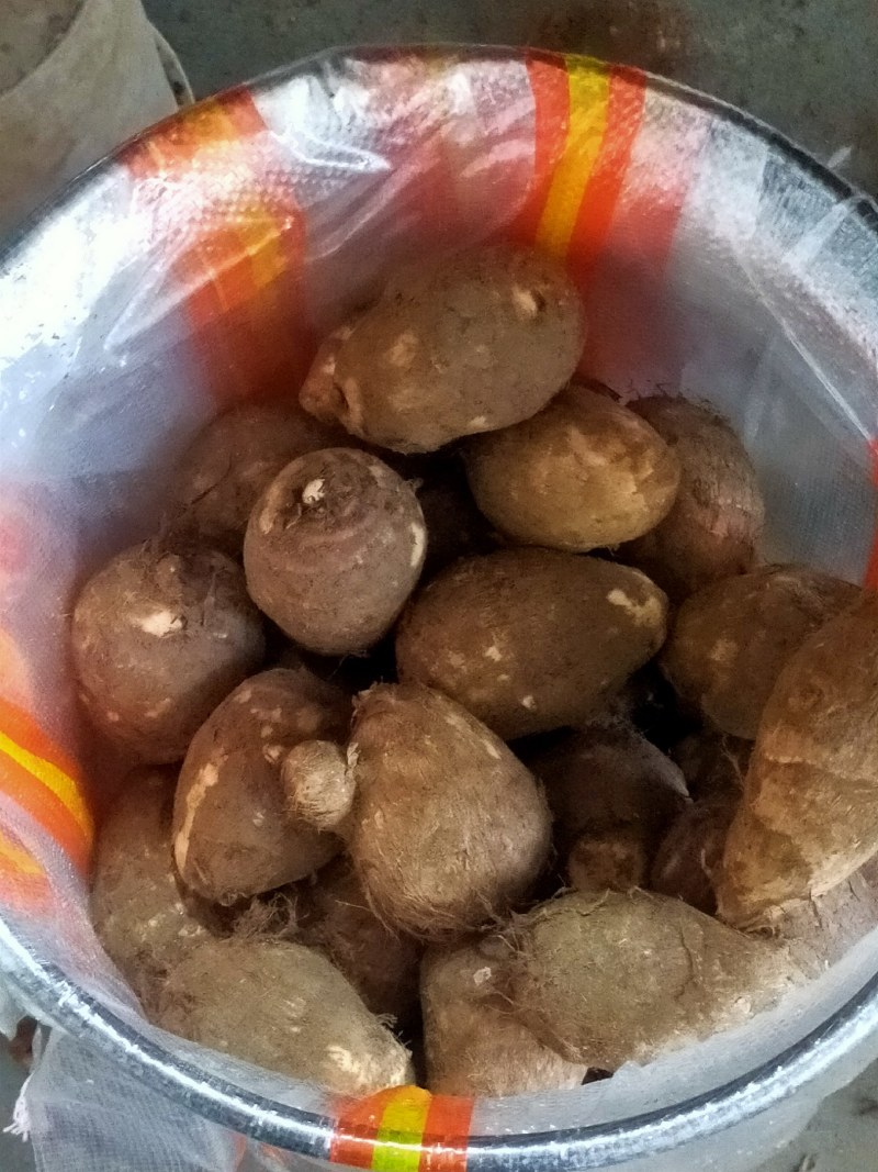 芋头*8520*豆包*产地大量供应*对接市场电商加工厂