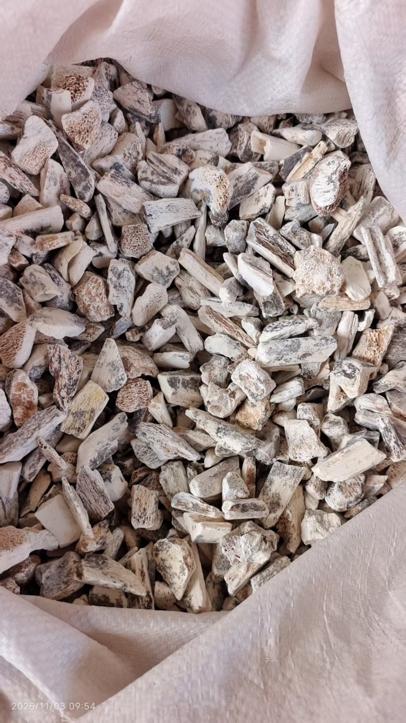 龙骨各种规格2斤包邮量大优惠