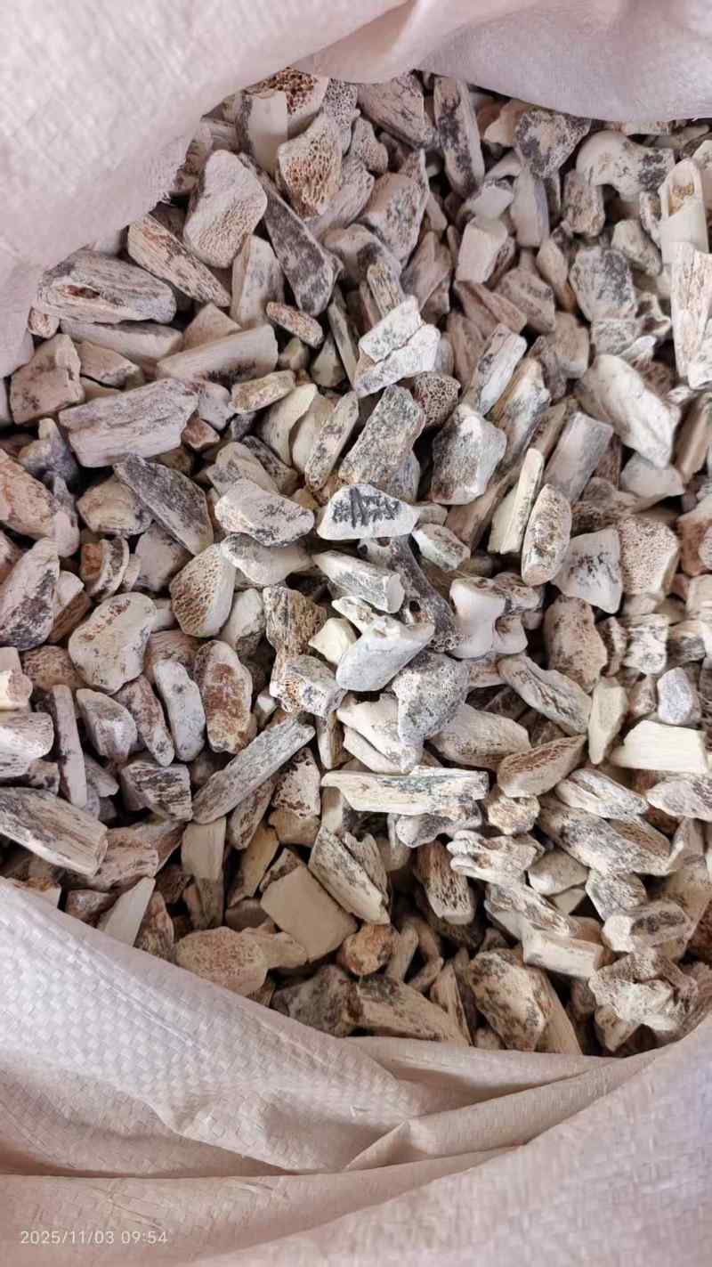 龙骨各种规格2斤包邮量大优惠