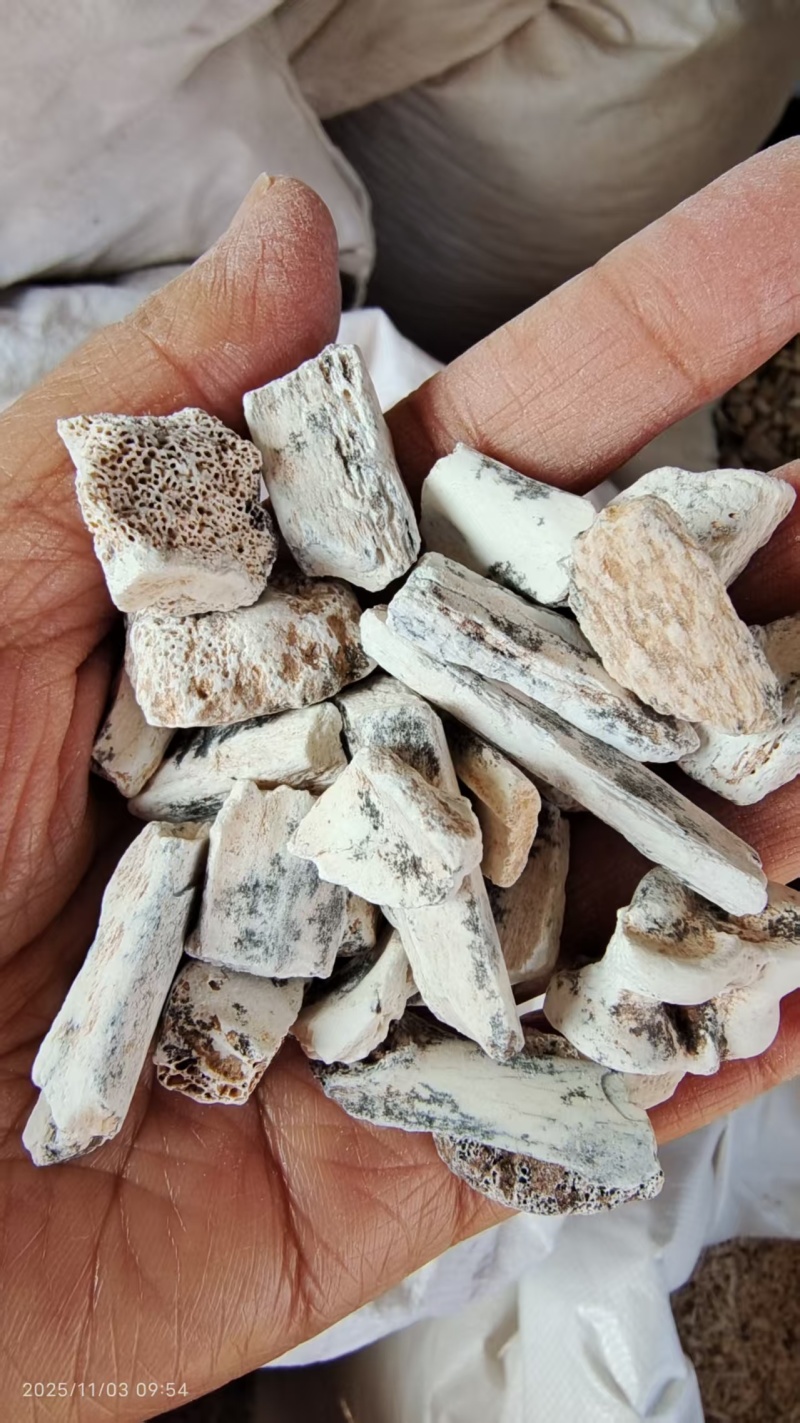 龙骨各种规格2斤包邮量大优惠