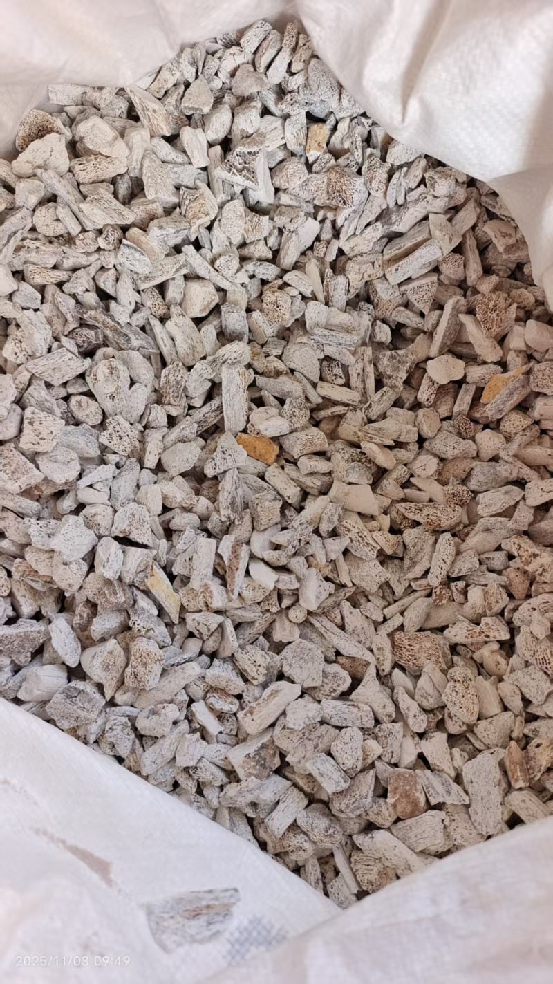 龙骨各种规格2斤包邮量大优惠