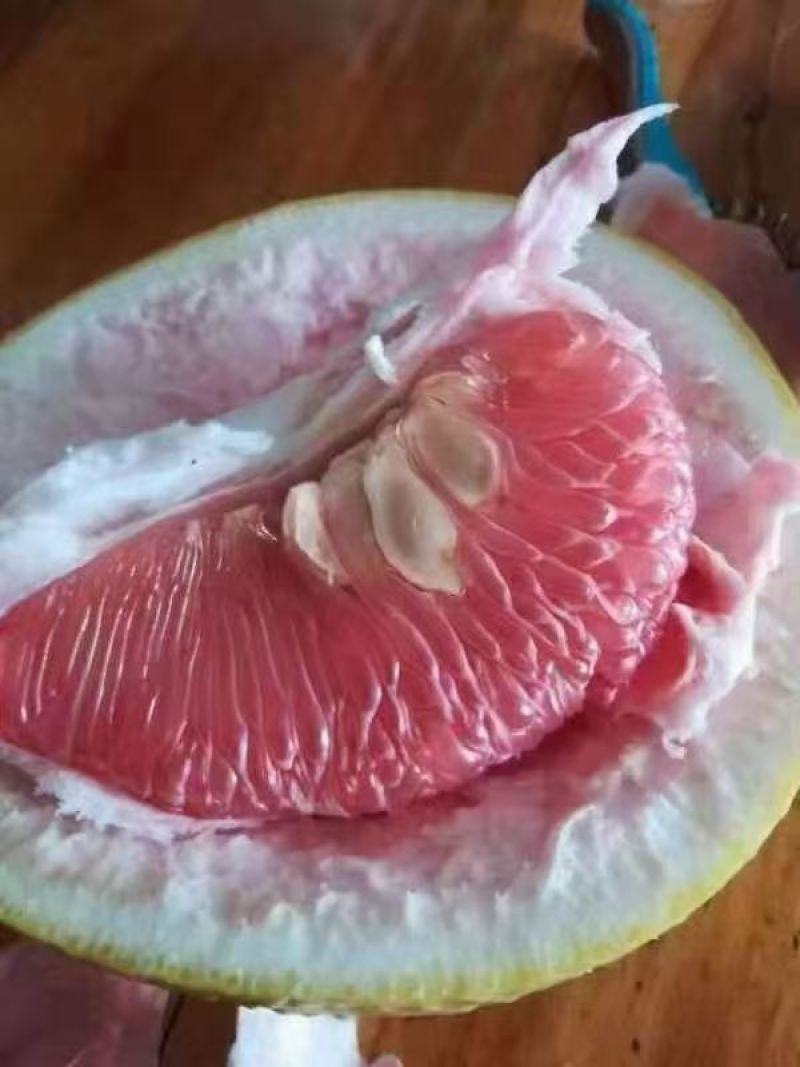 马家柚