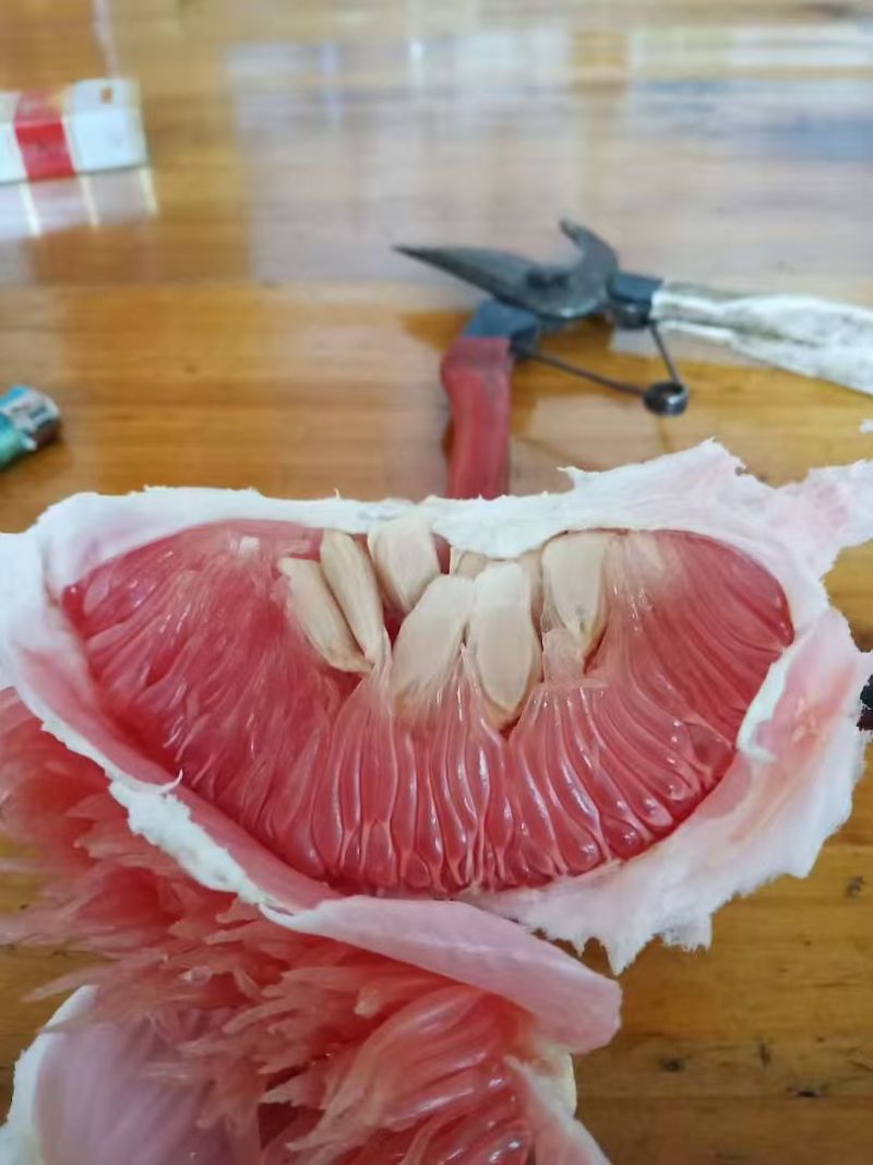 马家柚