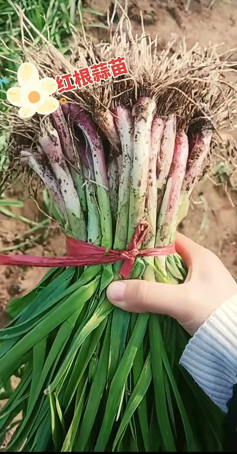 好货不断