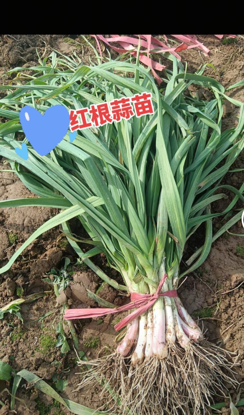 好货不断