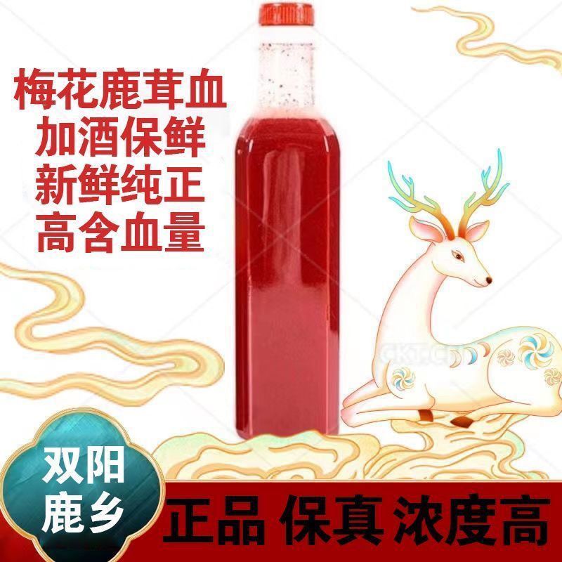 新鲜双阳梅花东北鹿茸血酒吉林正品高浓度新鲜加酒保鲜