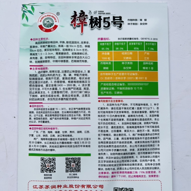 苏润樟树港椒5号椒种子品种产量高早熟品种包邮