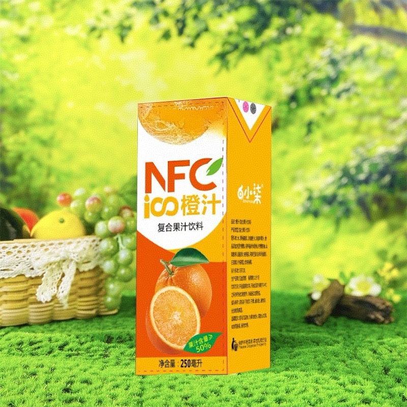 包邮24盒橙汁。一件可拍，也可一件代发。
