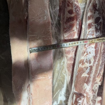 肥猪带皮脊背25kg/箱25.10月货30吨