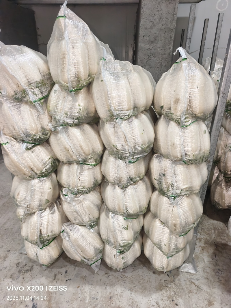 安徽萧县白萝卜，水洗精品货，土萝卜电商