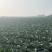 精品圆包菜产地直发一手货源质量保证全国发货