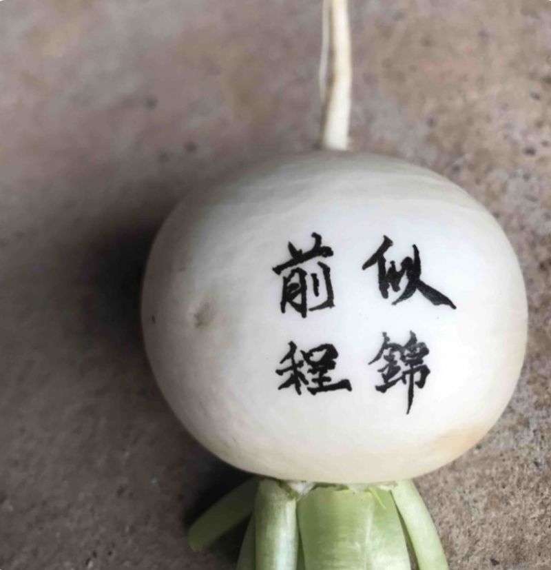 圆白萝卜，圆根萝卜，圆宝种子，农民店铺，自种自销诚信第一