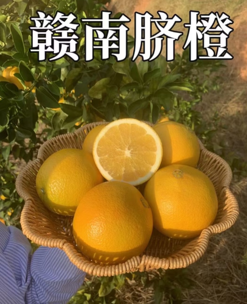 正宗赣南脐橙/产地一手货源（一件代发）甘甜多汁，品质保证